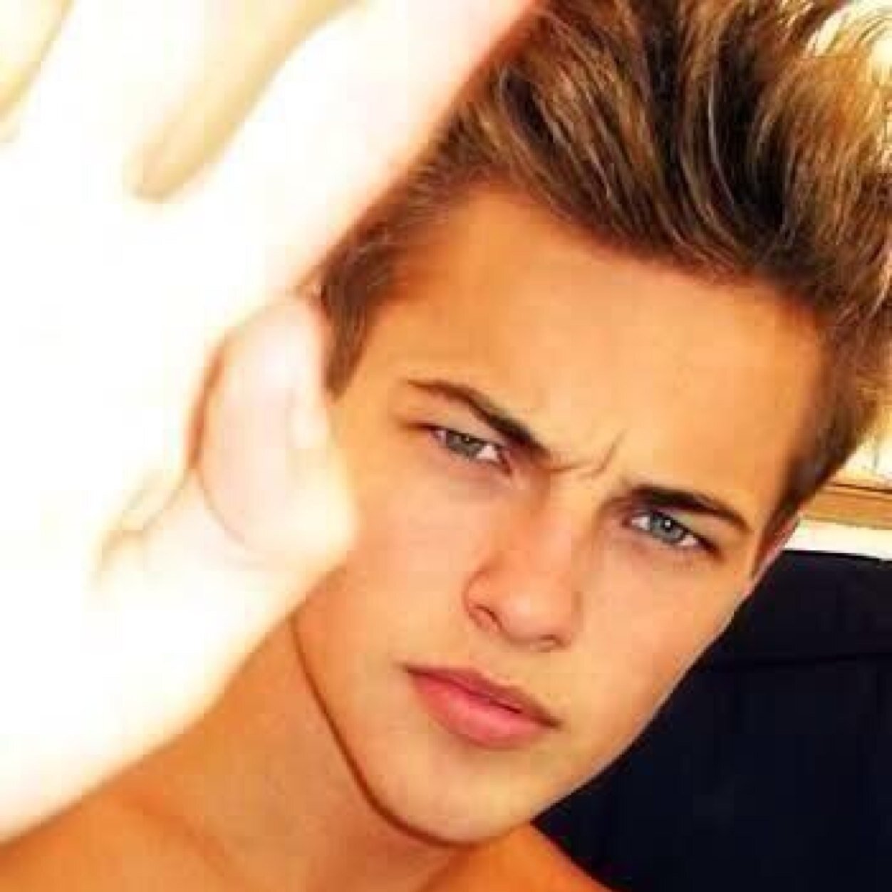 Leonardo dicaprio, dedicated leonardo dicaprihoe