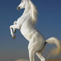 shooogalasiri (@relam07_h) Twitter profile photo