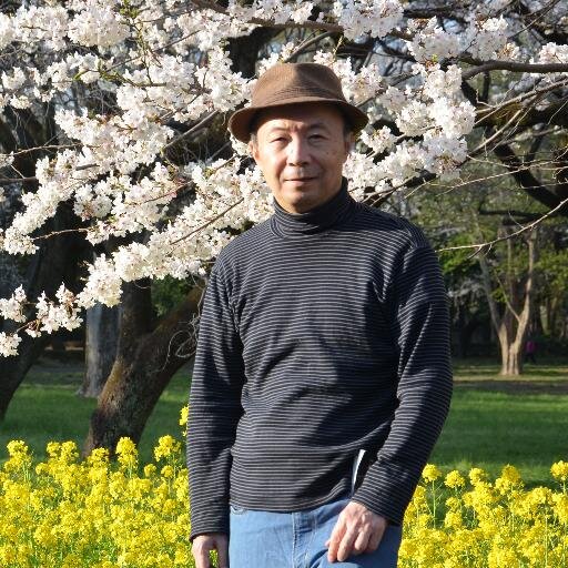東洋大学名誉教授。メディア研究者、子育て中のデジタルシニアです。趣味は音楽・美術鑑賞、読書、旅行、写真、散歩、ブログなど。