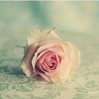 مها (@mhosh_23) 's Twitter Profile