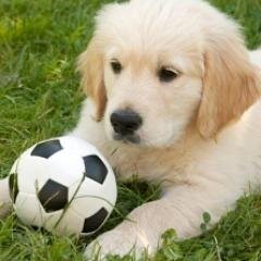 19cherrycoke's profile picture. 