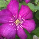 Becky Ruchti - @BeckyBeckyr2218 - Twitter