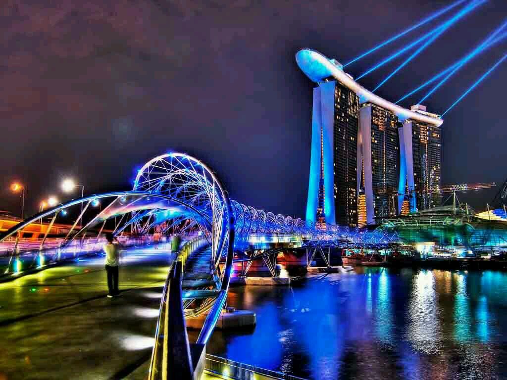 EcoCityLife's profile picture. 