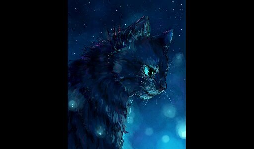 Blue-Grayish cat, with scars crisscrossing pelt and dark blue eyes. Leader of Tribe of rushing water. #Shecat