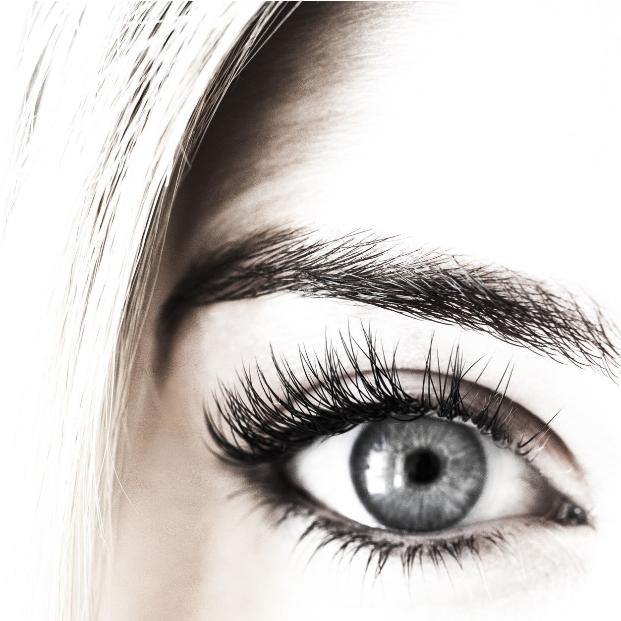http://t.co/OuMdFkrMSU They say the eyes are the windows to your soul, then eyelashes are the seductive drapery...