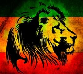 Splintercell78's profile picture. 