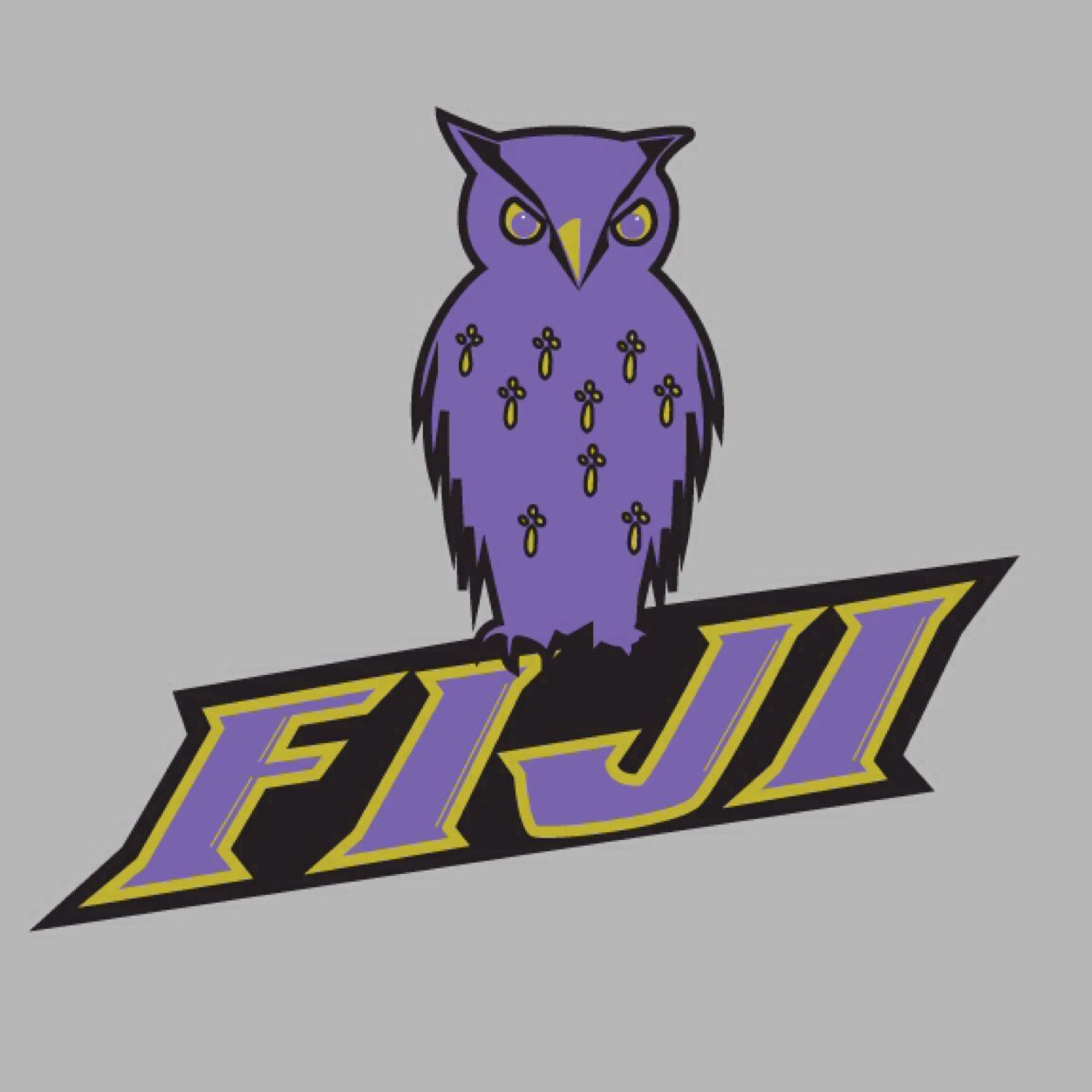 We are the Chi Rho Chapter of Phi Gamma Delta.