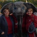 Sherry McDonnell - @SherryMcDonnell - Twitter