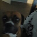 Matthew Madrid - @obeymadrid13 - Twitter