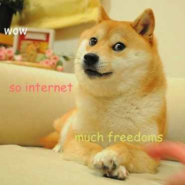 SIFDoge's profile picture. Wow. Such freedom. Very online.