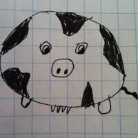 Nora P-S (@fractalsevrywhr) 's Twitter Profile Photo