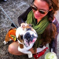 Lucianna Kiffer (@lululixious) 's Twitter Profile