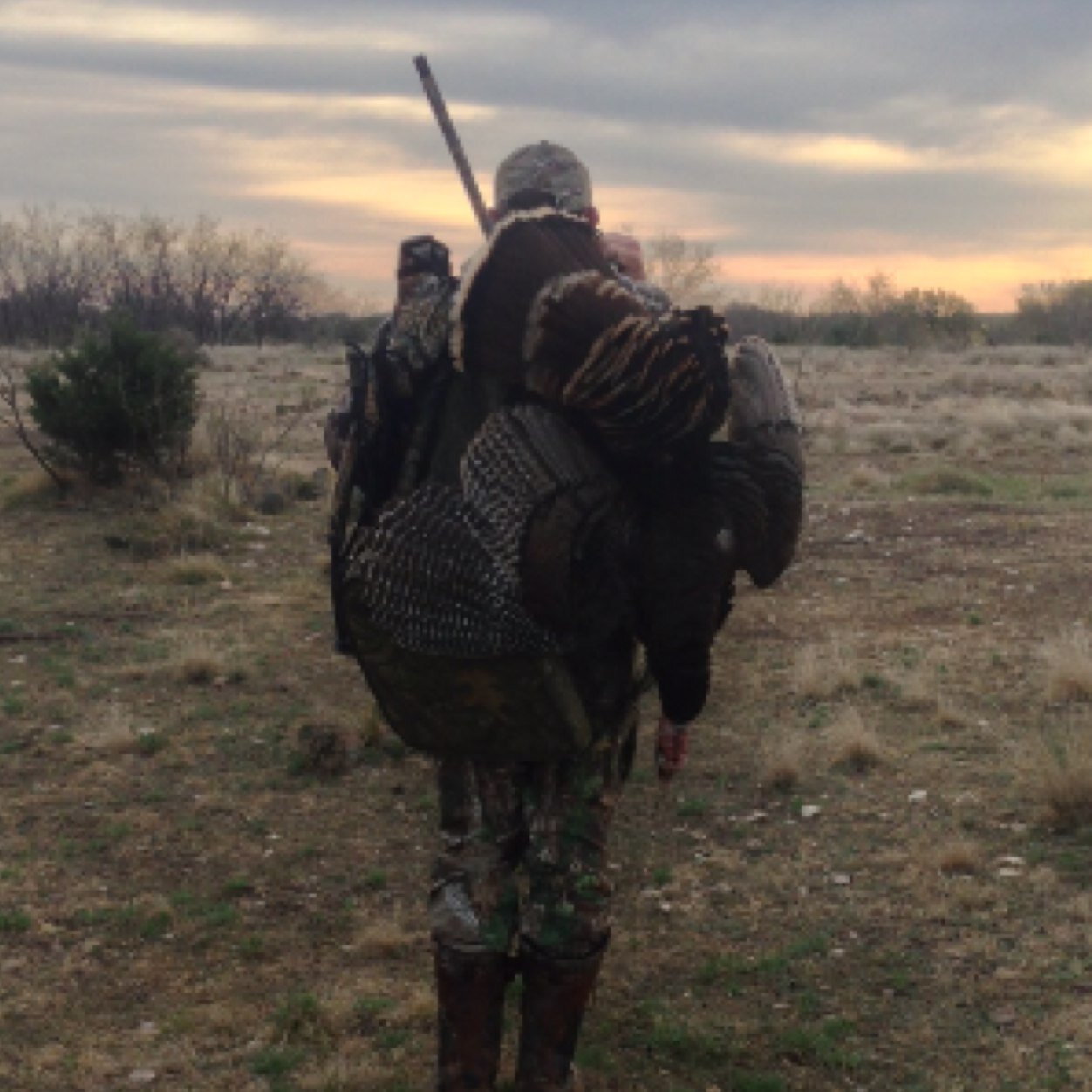 BretPrine's profile picture. 