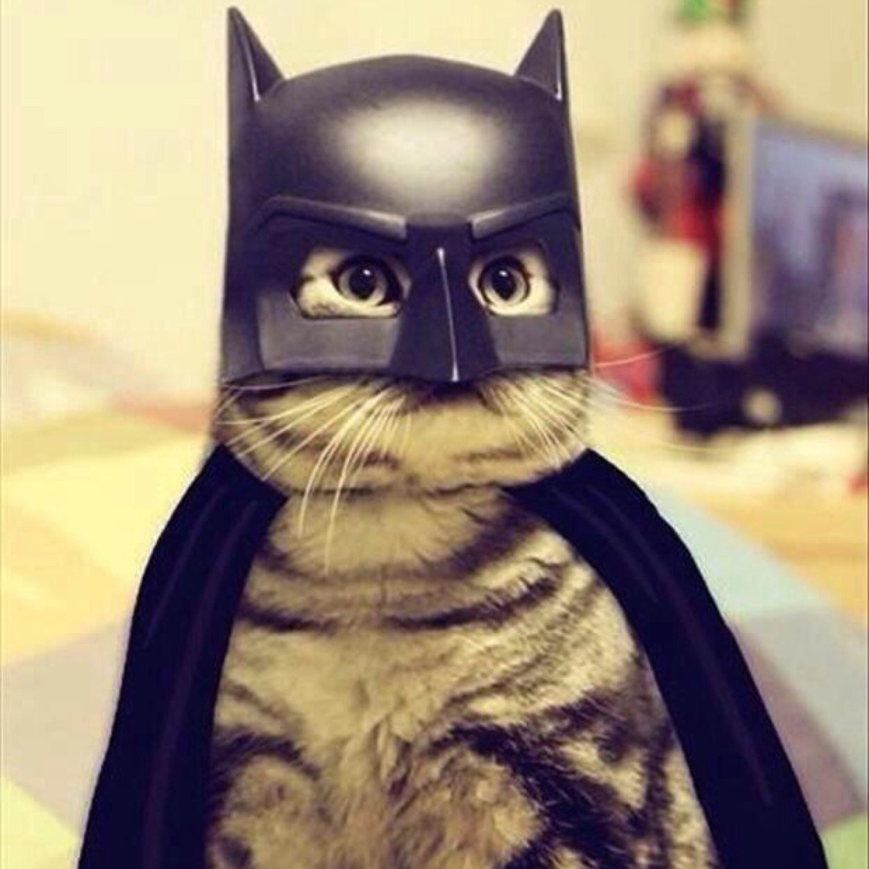 Changin4better's profile picture. 