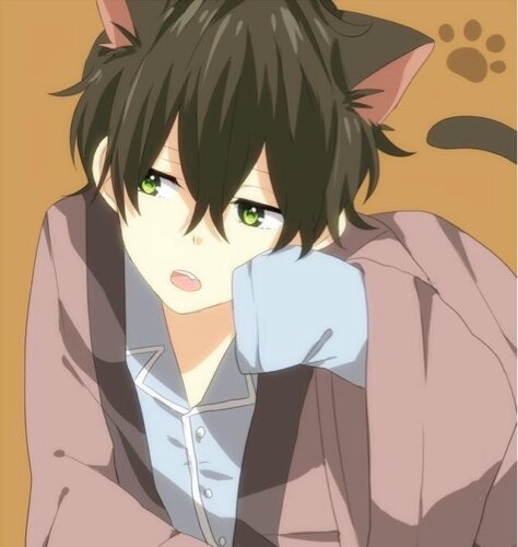 I'm Arashi Kurokawa a human that turned into a neko. Sometimes shy but nice. You may RP with me anytime you like, I'm also in Love.. #Taken