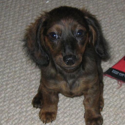 stowe4077's profile picture. 