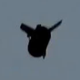 BarrelBombs Profile Picture