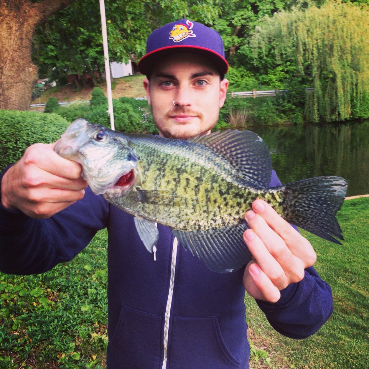 Cavebac0n's profile picture. Art Director - Akron RubberDucks