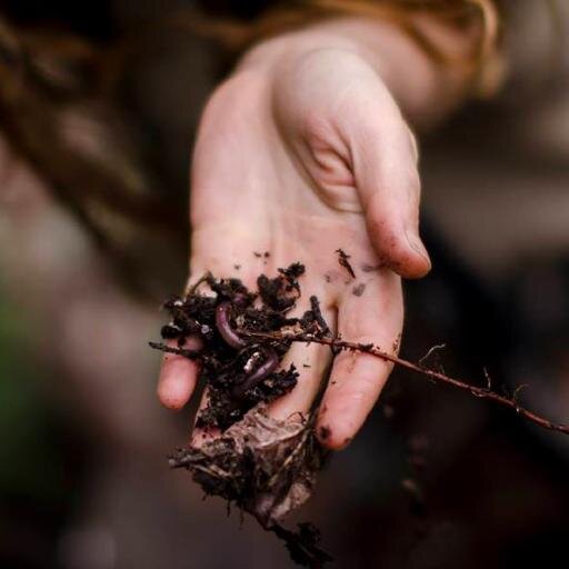 Passionate Permaculture Education and Sustainable Services. 
Permaculturist, Wildcrafter and Bee Lover.

Working to Reclaim our food and medicine!