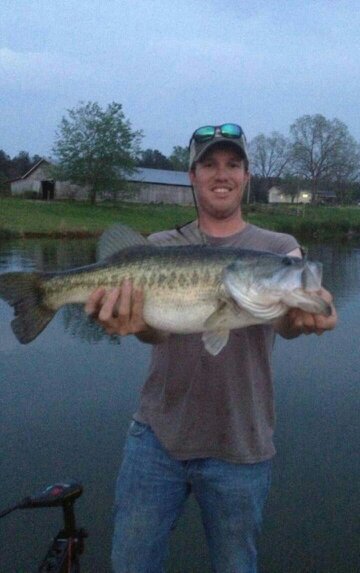 hcwillis1's profile picture. 