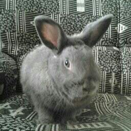 AndreUlitzka's profile picture. 