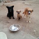 robinson rodriguez. - @robinso68237989 - Twitter