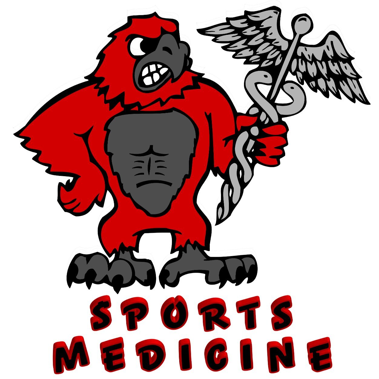Multifaceted collection of allied health care professionals working together to provide the best possible health care to the student-athletes at Ironwood HS