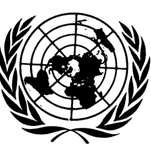 The Troy Athens Model UN Club is an extracurricular activity that allows students to participate in a simulation of the United Nations
