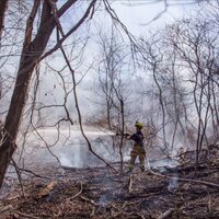 Matt Falletti (@co5capt) 's Twitter Profile