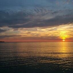 RyanMayo9's profile picture. 