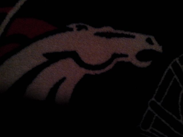 I'm in to hunting, fishing, basketball, football, wrestling, and a huge Denver Broncos fan.