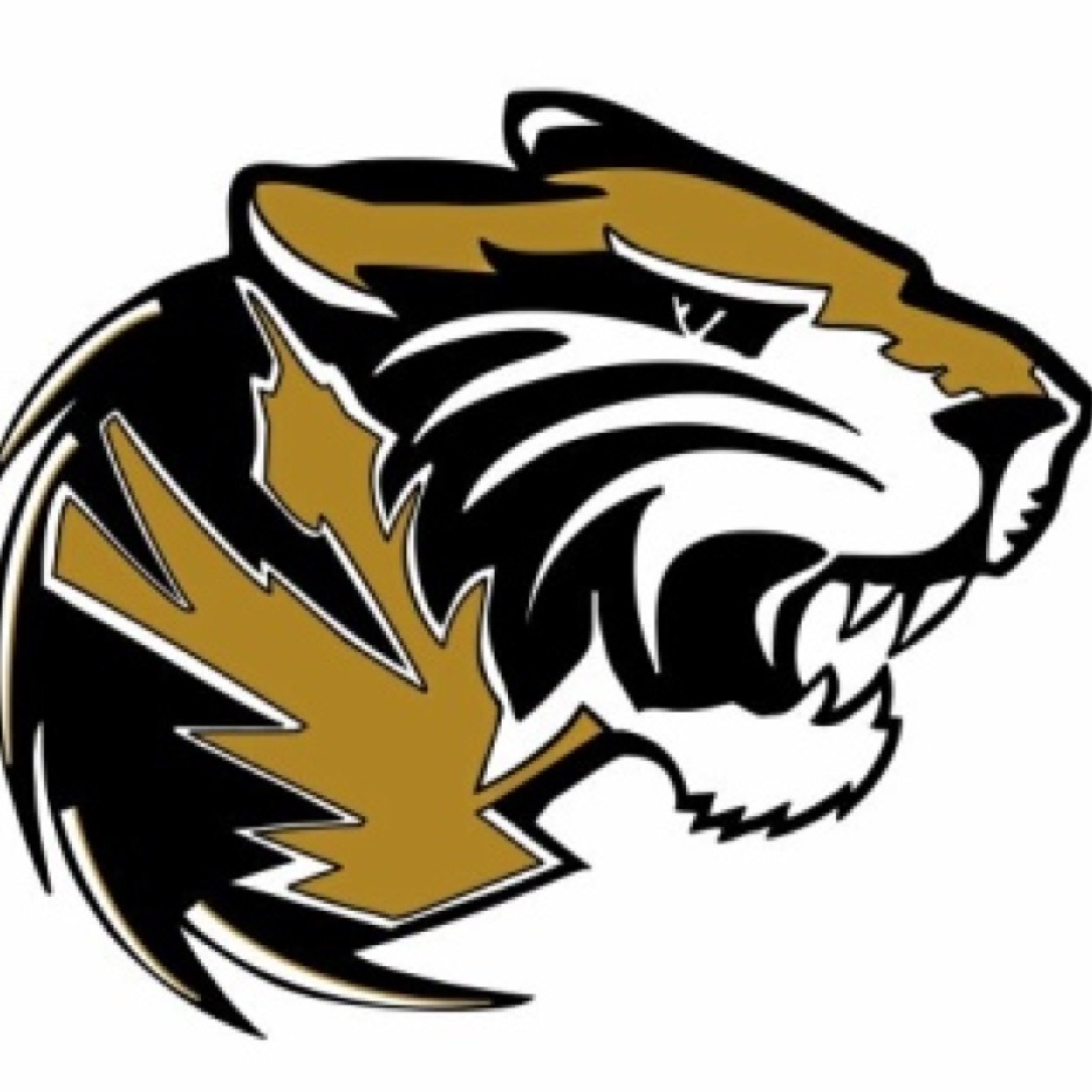 SoCoTigerSports Profile Picture