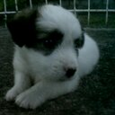 Hannah Charles - @HannahC12901333 - Twitter