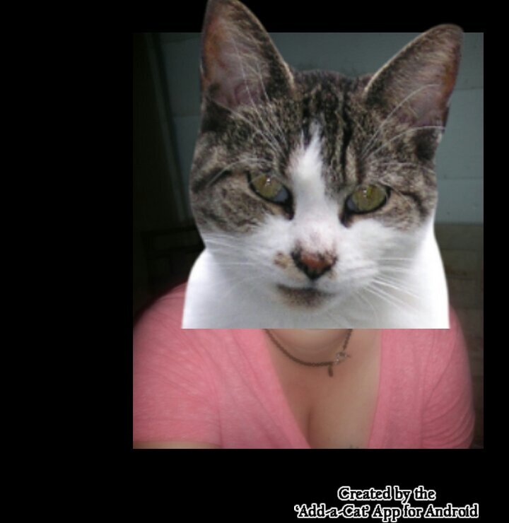 minniemacrae's profile picture. Astros. H-town. Texas.