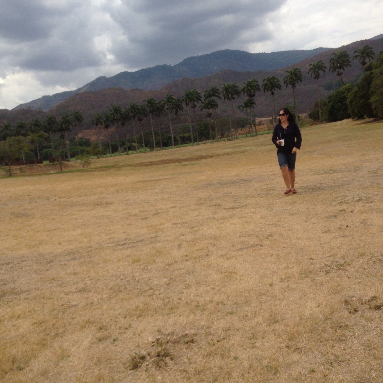 ariannaperez10's profile picture. 