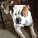 Erin Waugh - @ErinWaugh3177 - Twitter