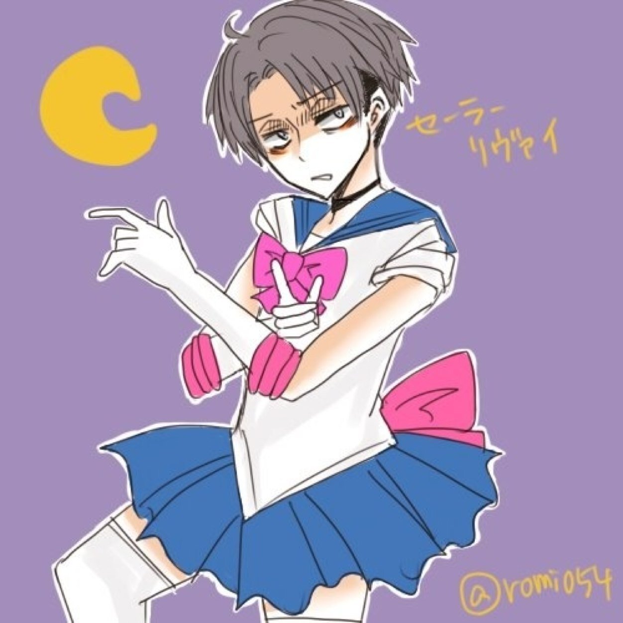 I'am Sailor Moon, and on behalf of the moon I will right wrongs and triumph over trash, and that means you, dust bunny.
(Single, 18+)