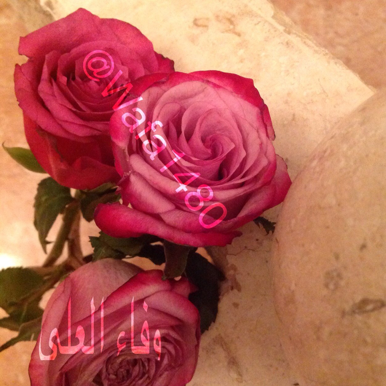 تويتر كالبستان تنزه فيه واقطف من الزهر ما ينفعك في دينك وآخرتك فكر ألف مرة قبل أن تكتب فكله مدون عليك في كتاب لن تراه إلا يوم تبيض وجوه وتسود وجوه*من مكنوني