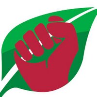System Change Not Climate Change (@eco_socialism) Twitter profile photo