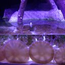 Jenny Mark - @jenjen_mark - Twitter