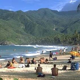 FMontrose's profile picture. 