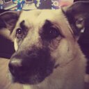 Tracy Daigle - @26bc29a42e3d464 - Twitter