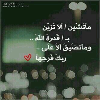 skys2011googlec's profile picture. 