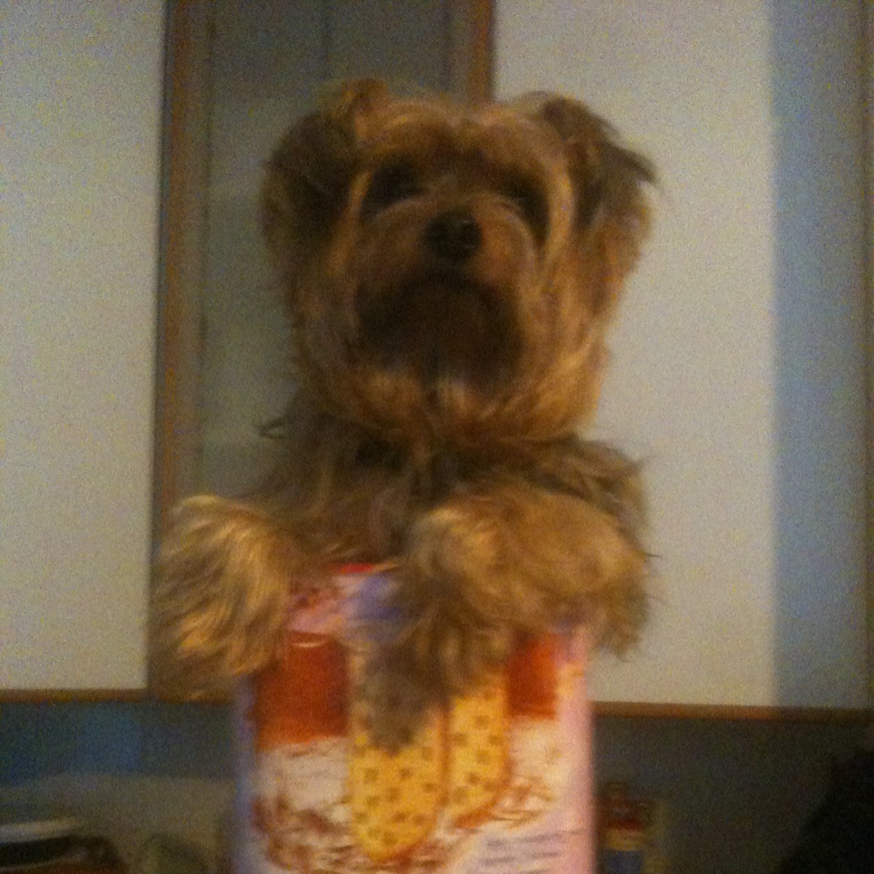 supersimii's profile picture. 