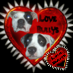 BullyBreedz's profile picture. Raise awareness for Bully Breed dogs and educate how it is not the dog, it is the wussy OWNERS