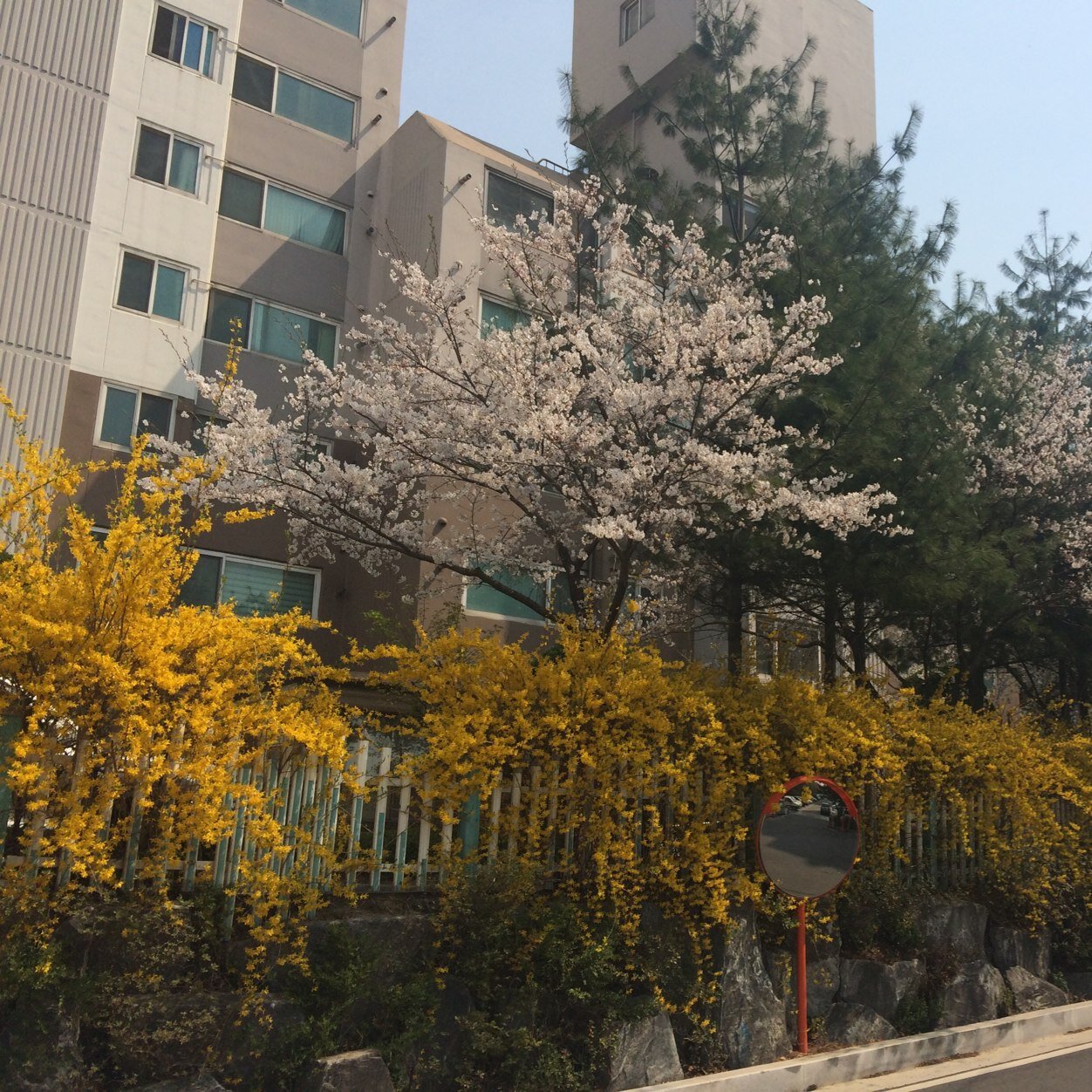 archangelkang's profile picture. 대천사강공, 아직 30대 세아이들맘에 직장맘..울신랑화이링!^^;