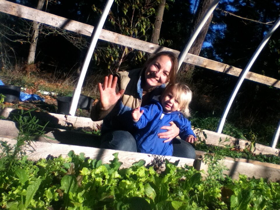 Mother of 1, step-mother of 2 awesome big brothers, keeper of the health, farmer at Watercliff Permaculture Farm, cobber at Pollywogs Cob Sculpting.