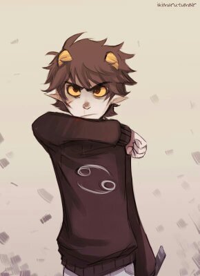 i'm Karkat. but i'm sure you fucking knew that.
