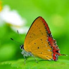 Inspires2day's profile picture. Inspire Today Have A Huge collection of Unique motivational quotes by famous authors of Inspirational Quotes, Teacher quotes Society quotes Religion quotes