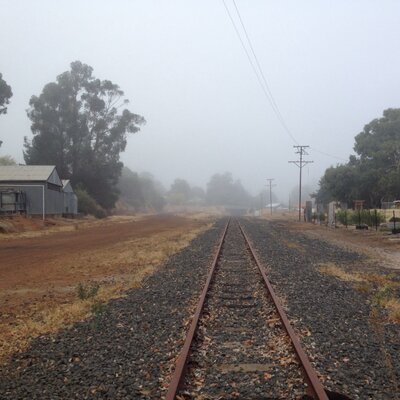Ayesha Harrison (@AyeshaCHarrison) | Twitter